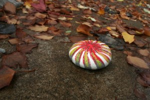 koru hand painted rock koru hand painted rock